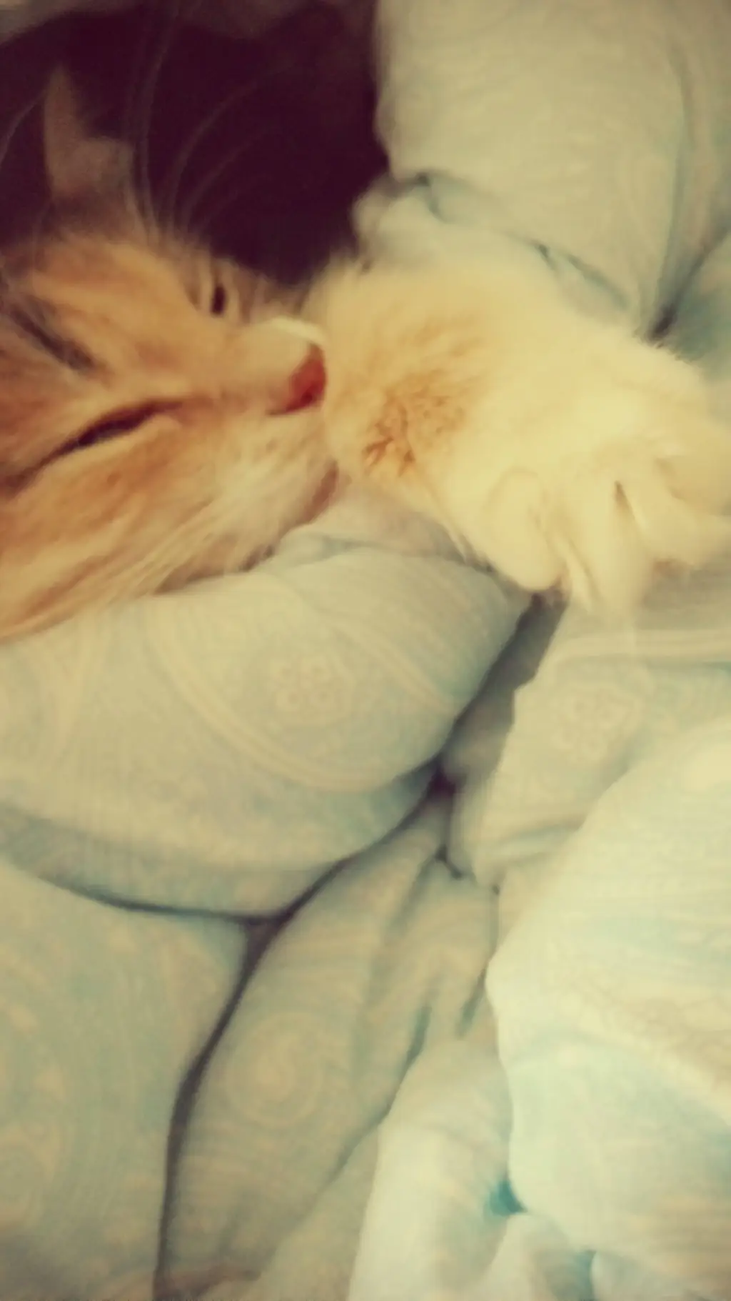 ai character: Ангелина background