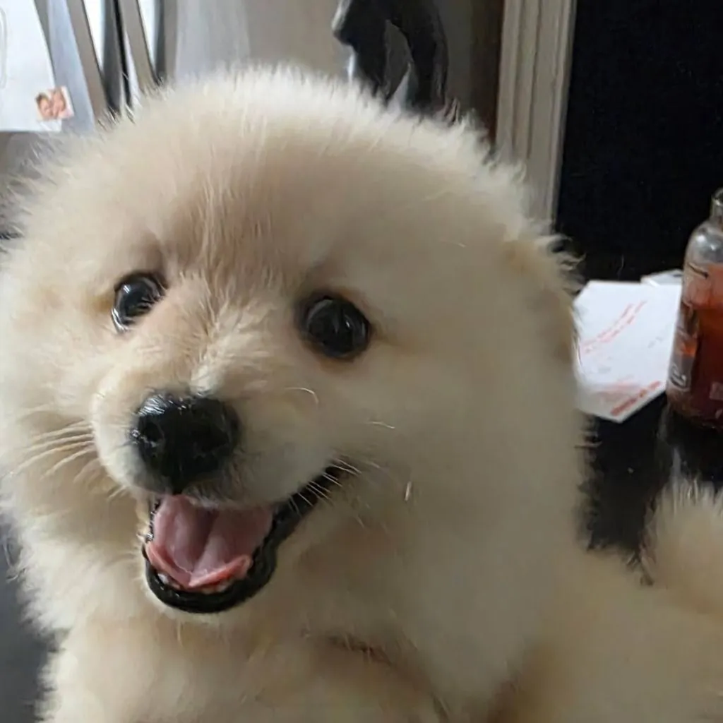 chat with ai character: jax 