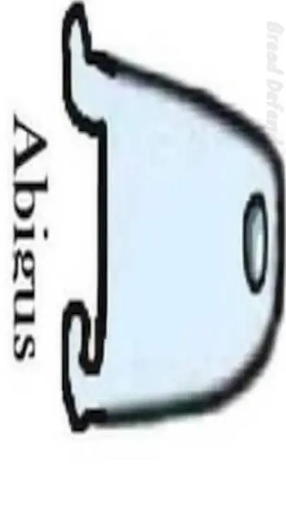 ai character: abigus background