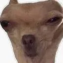 chat with ai character: your dog
