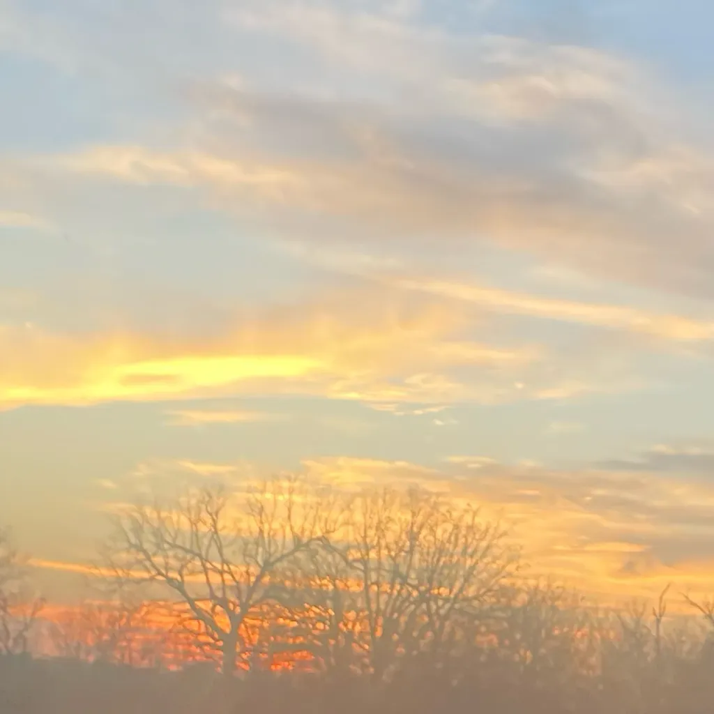 chat with ai character: Lucky