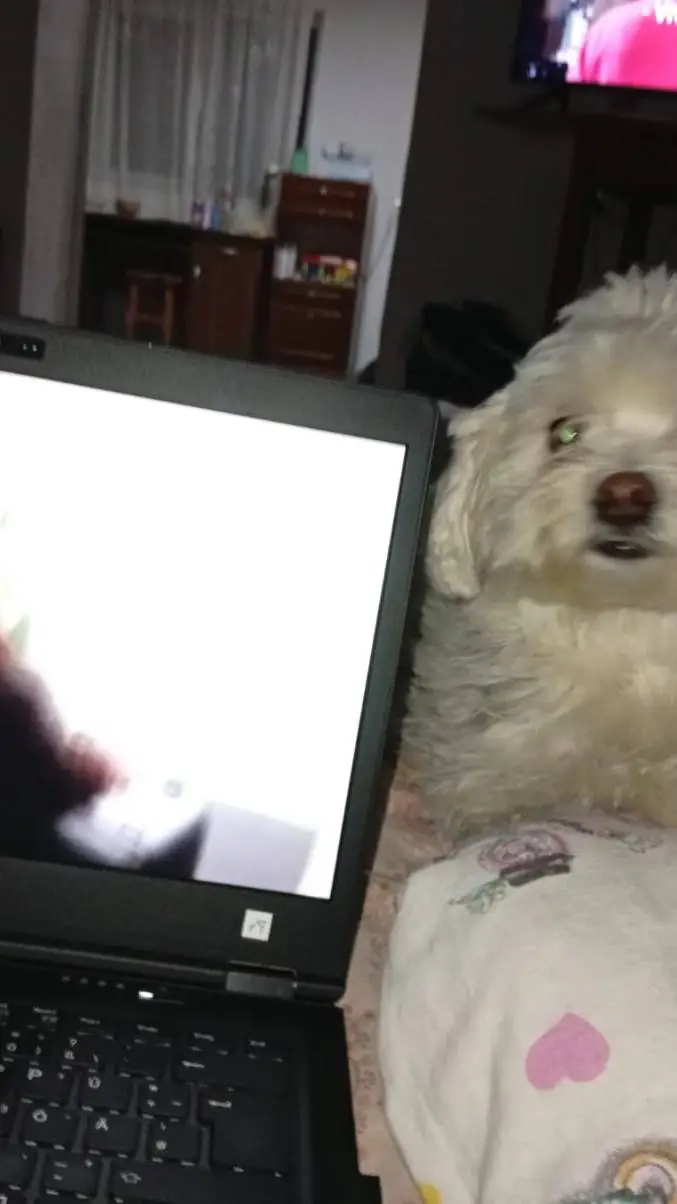 ai character: U in ur house background