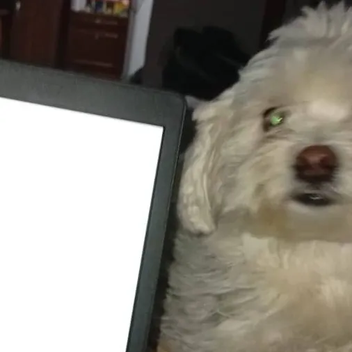 chat with ai character: U in ur house