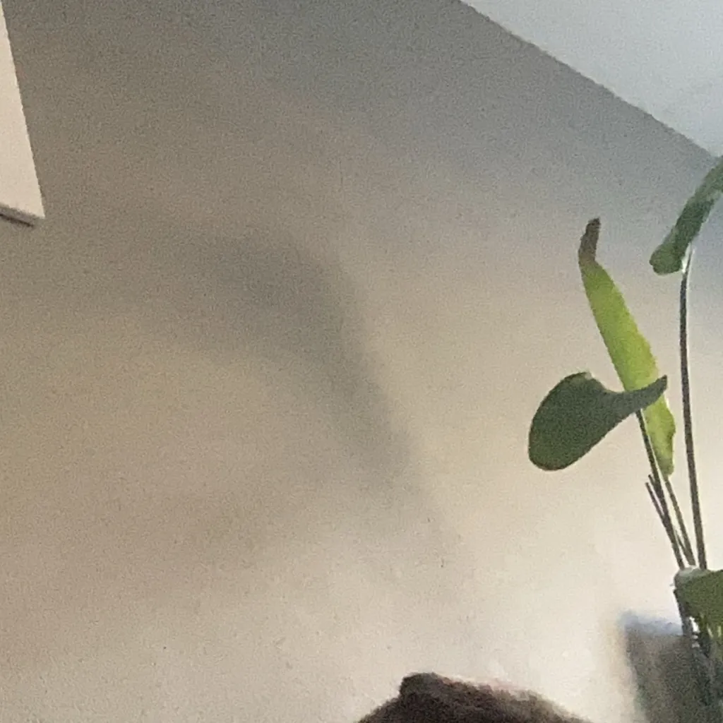 chat with ai character: Liam