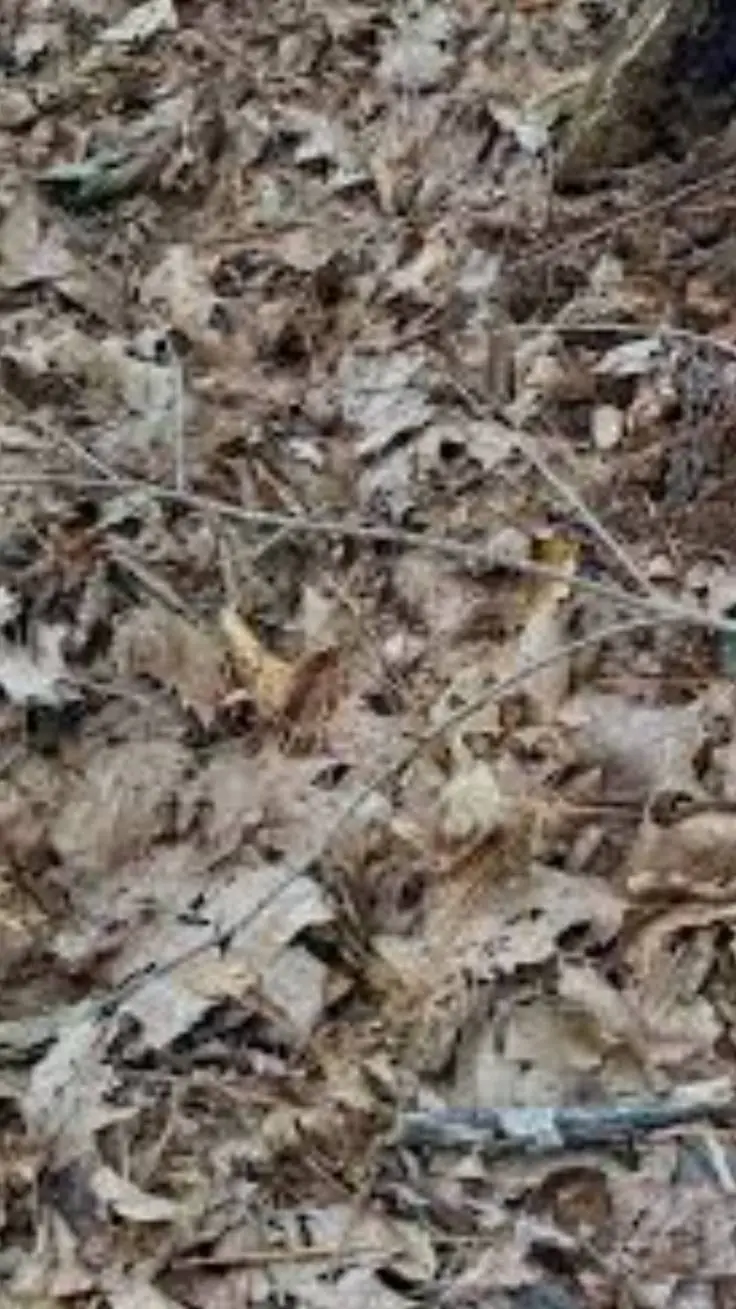 ai character: leafs background