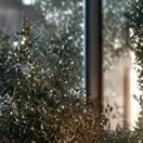 chat with ai character: Fpe sleepover 