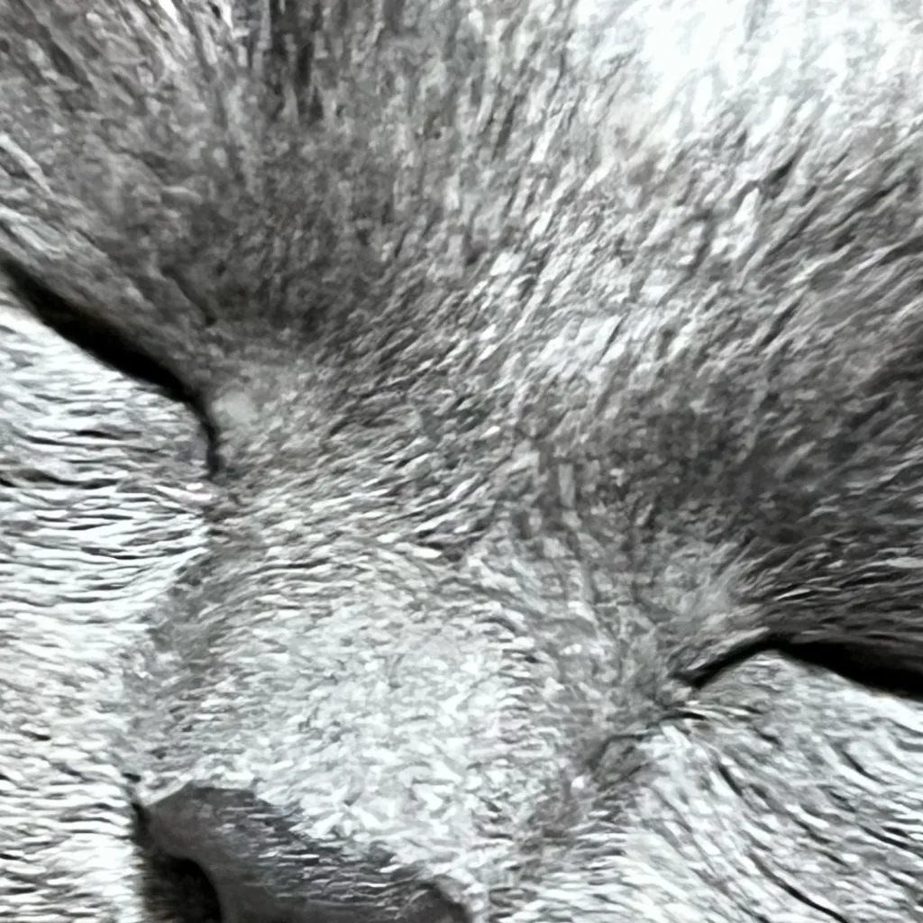 chat with ai character: Big bang (2012)