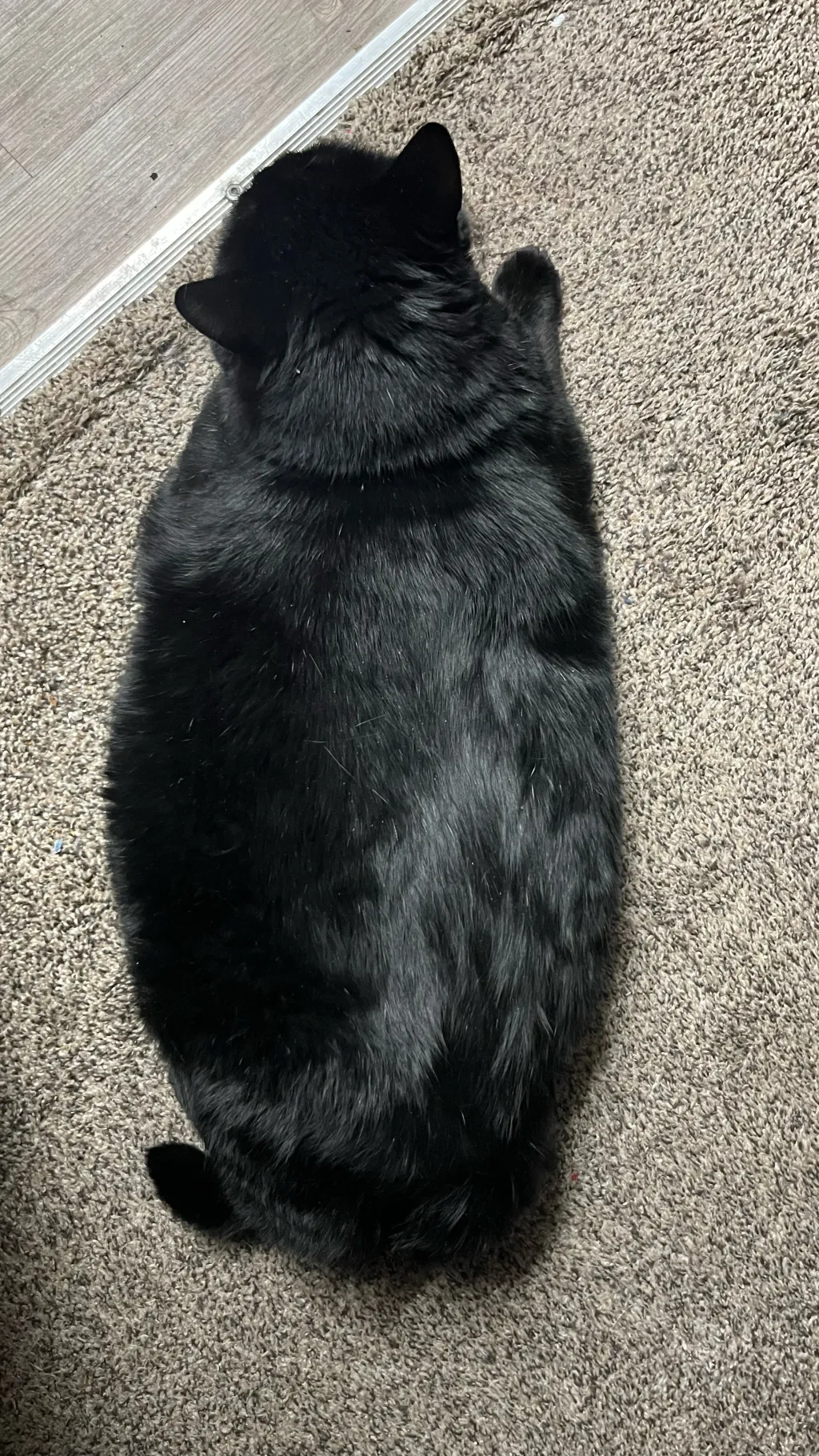 ai character: Big bang  background