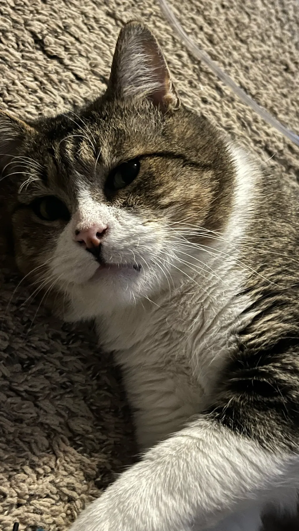 ai character: Bigbang travel background