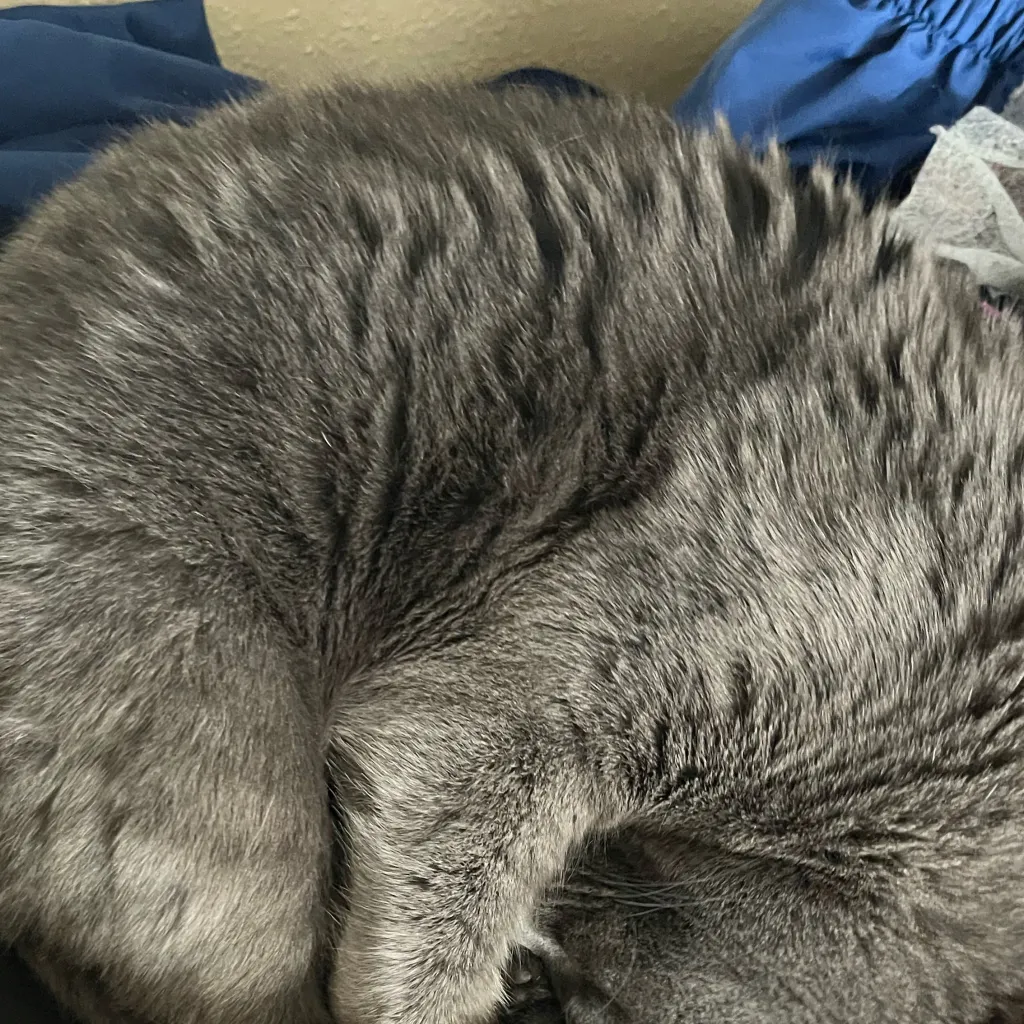 chat with ai character: BTS 