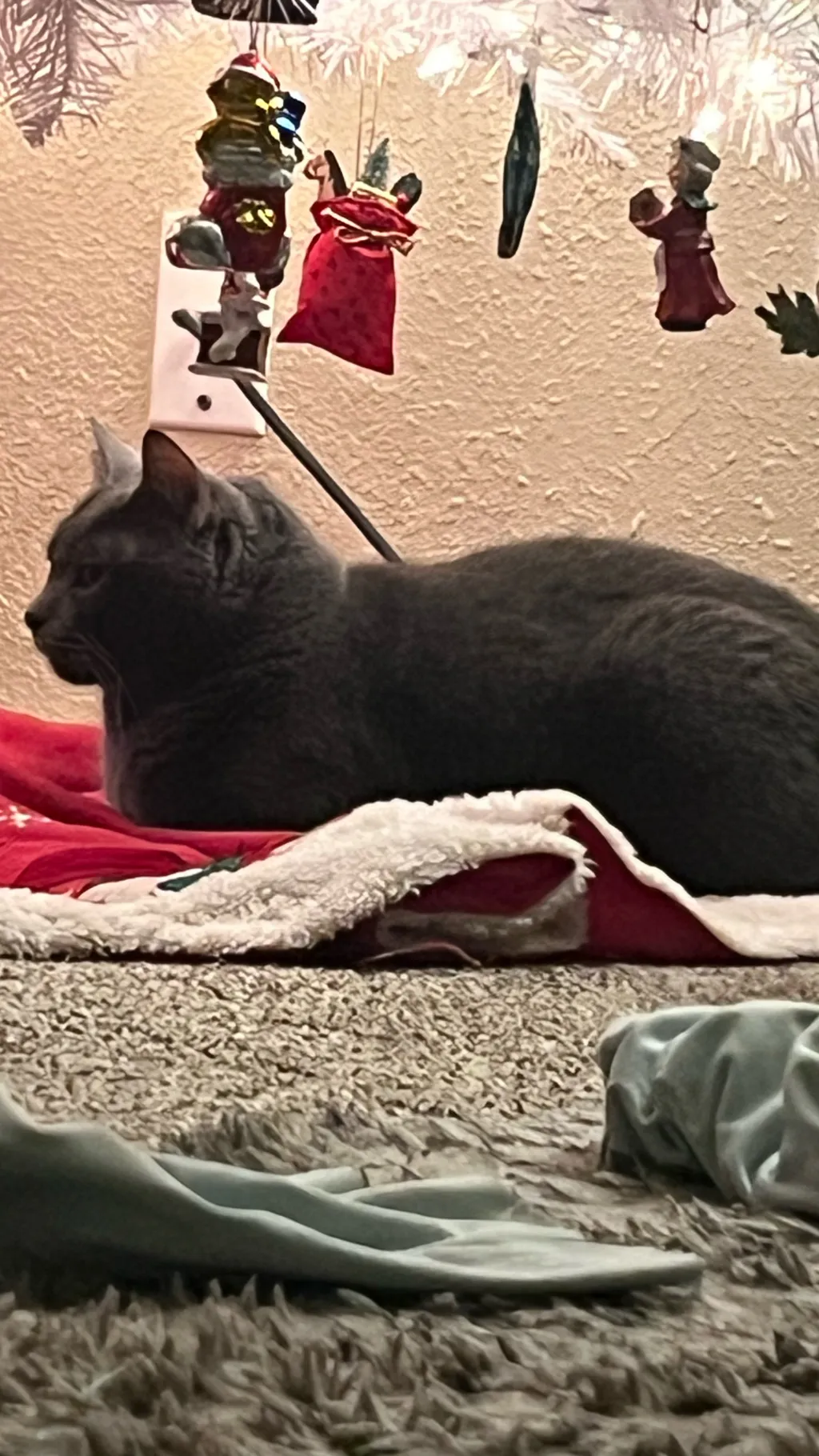 ai character: Bigbang  background