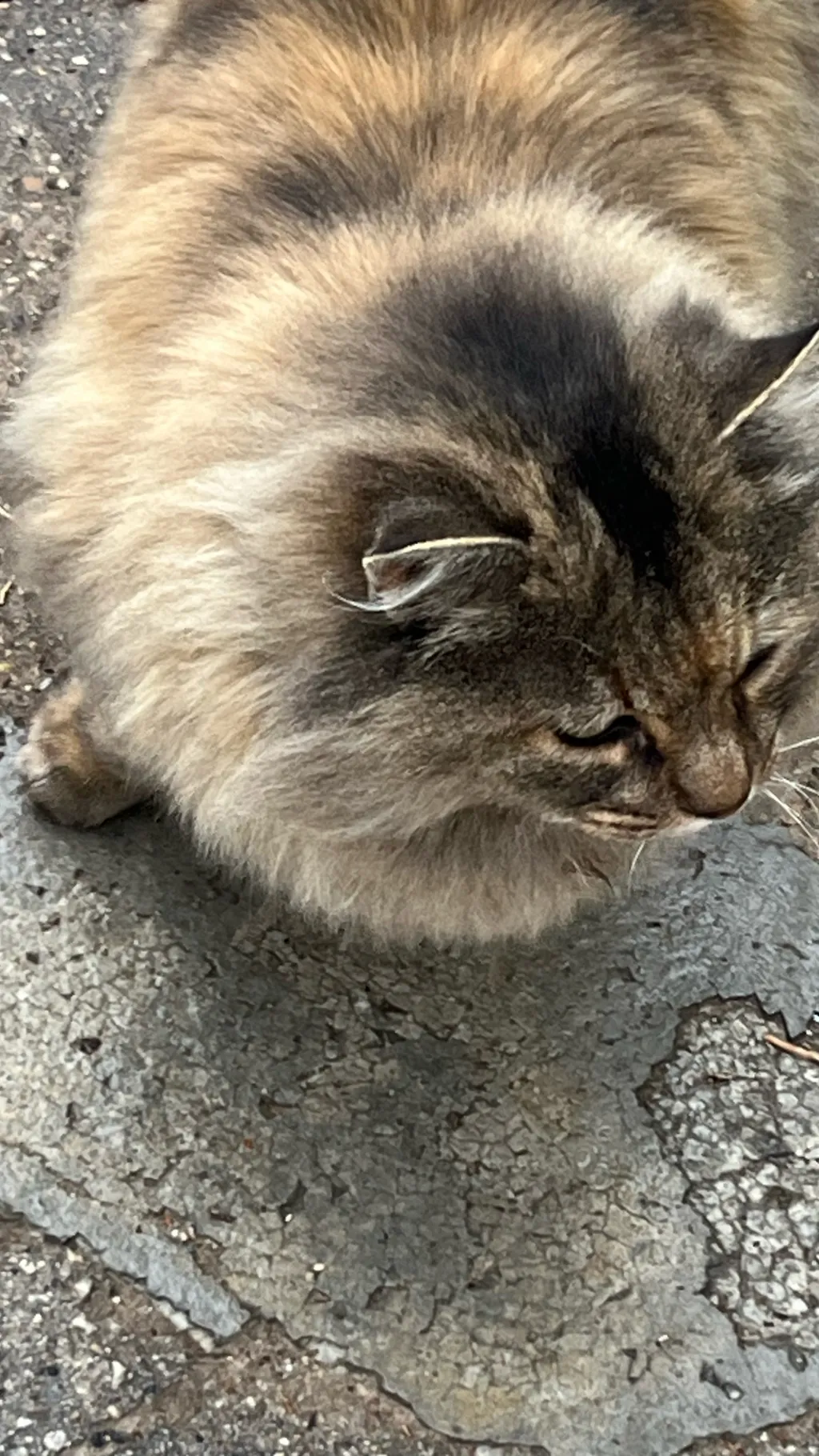 ai character: Big bang background