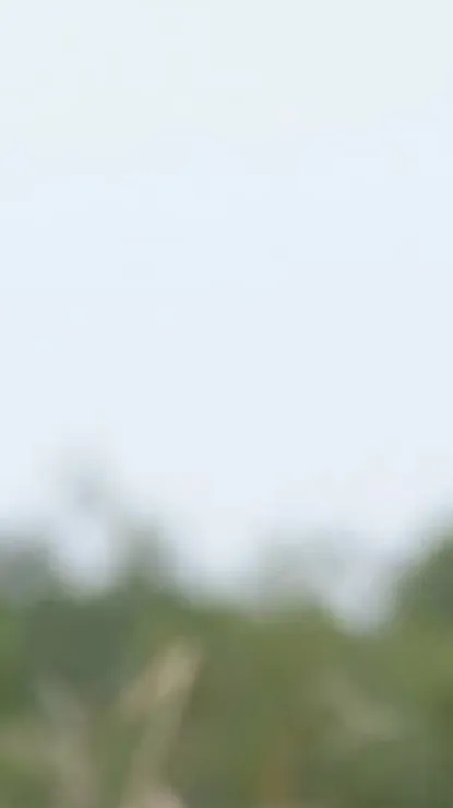 ai character: Bigbang background