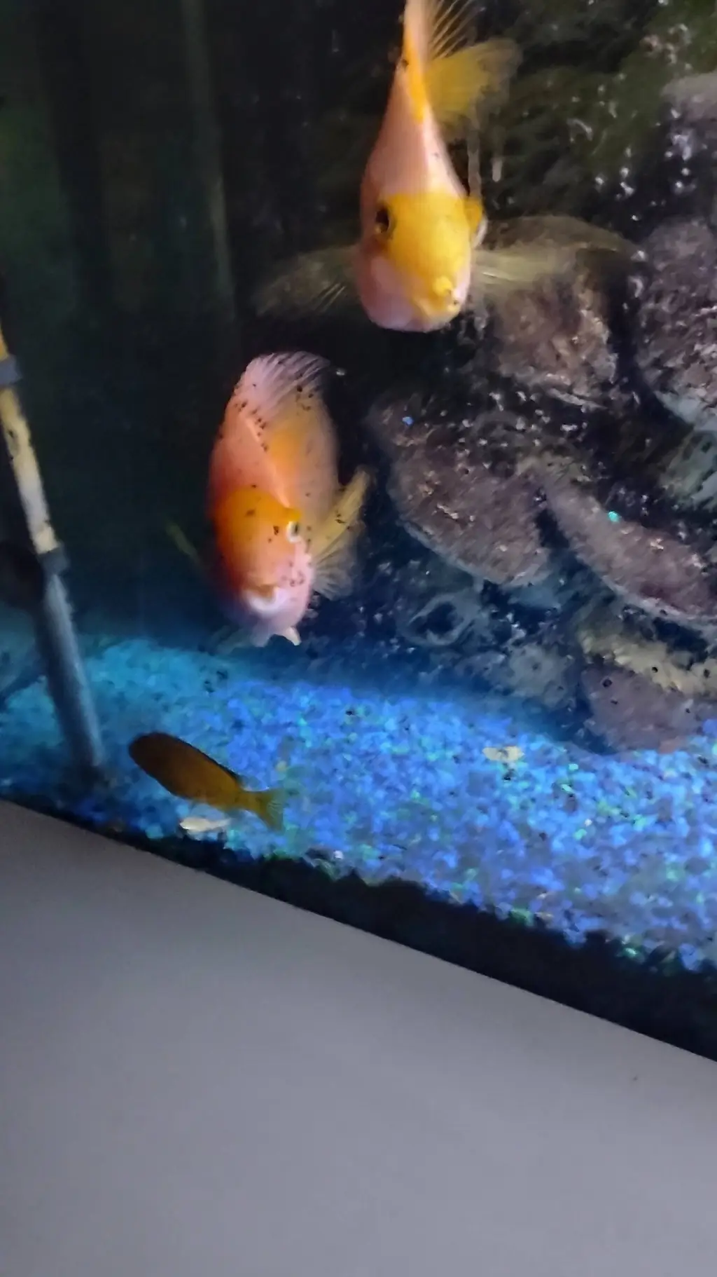 ai character: FNAF GC background