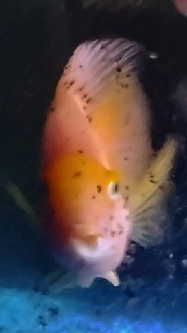 ai character: 3rd grade background