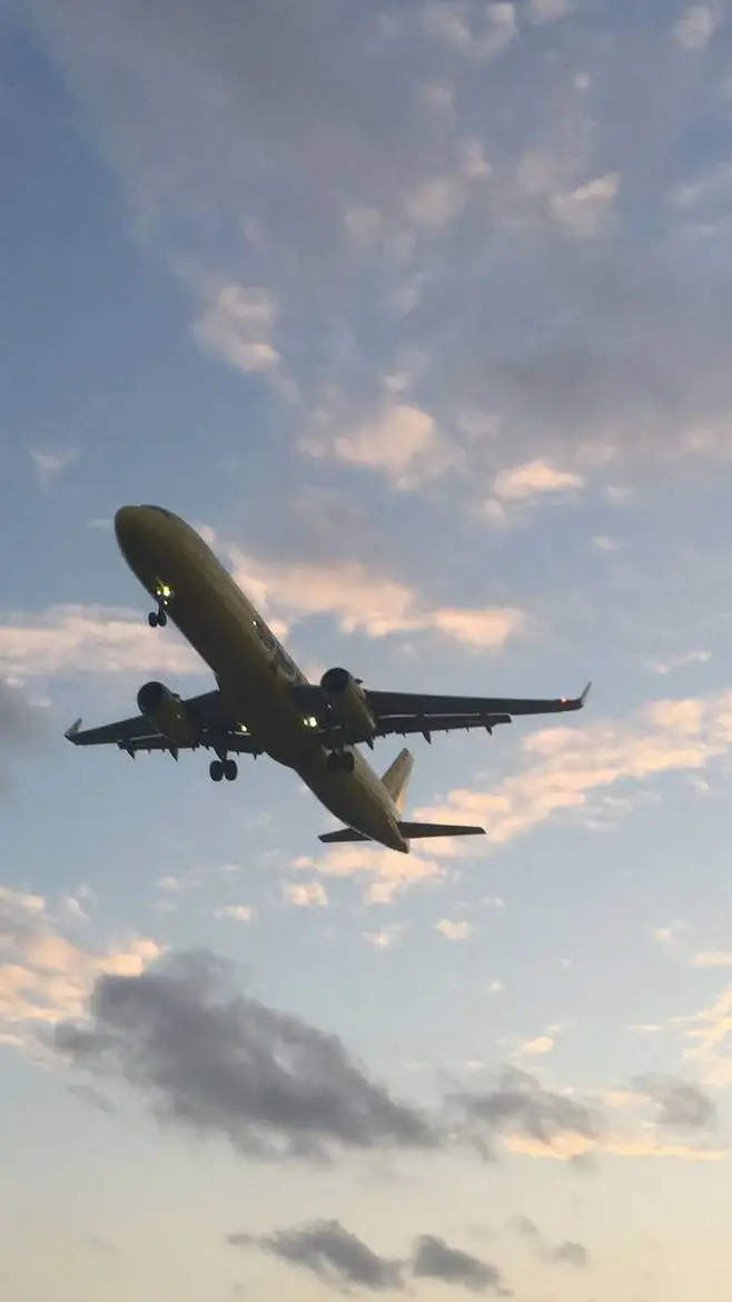 ai character: Plane crash background