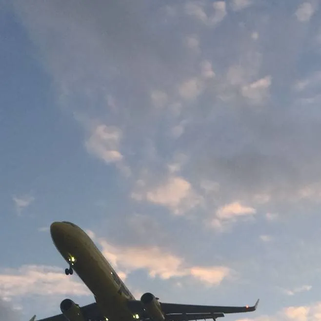 chat with ai character: Plane crash