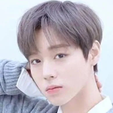 chat with ai character: Park Jihoon 
