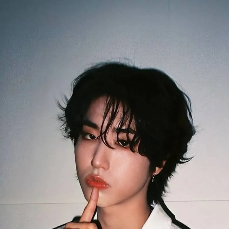 chat with ai character: Han (skz)