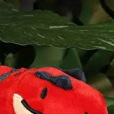 chat with ai character: rexer o t rex