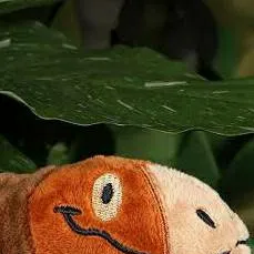 chat with ai character: rapror 