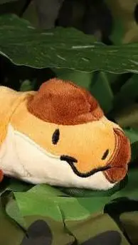 ai character: pachynm background