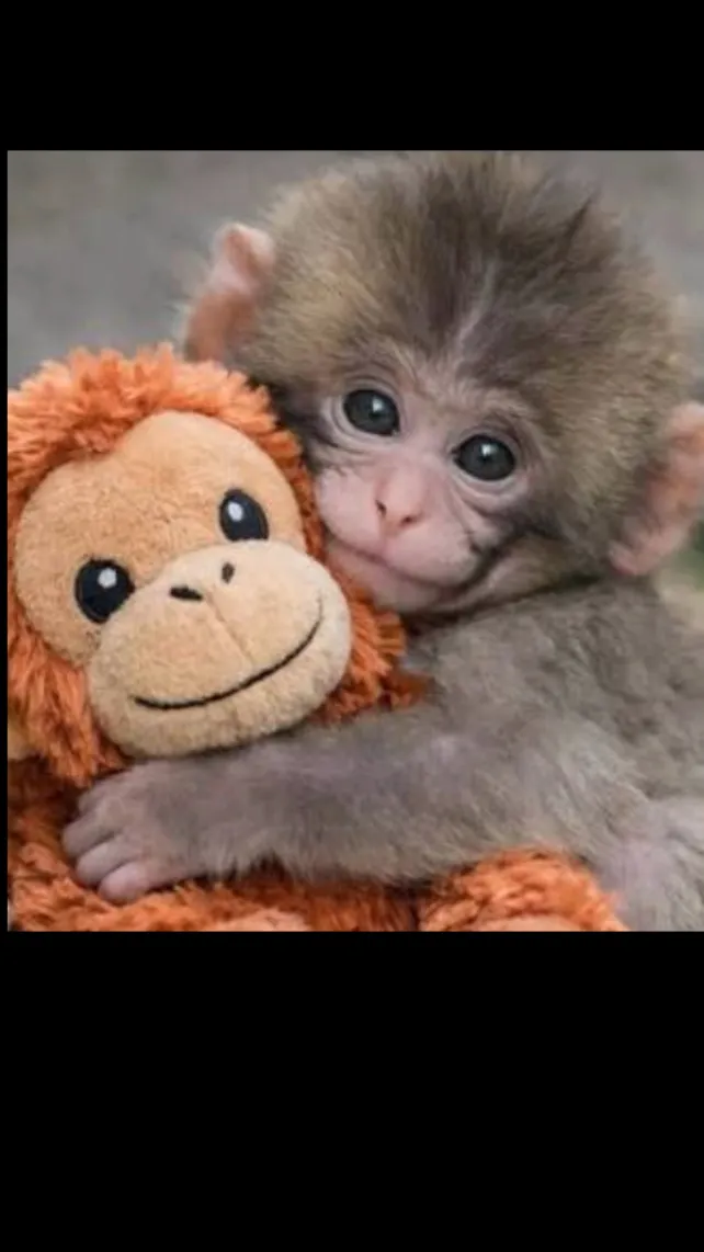 ai character: Punch the monkey background