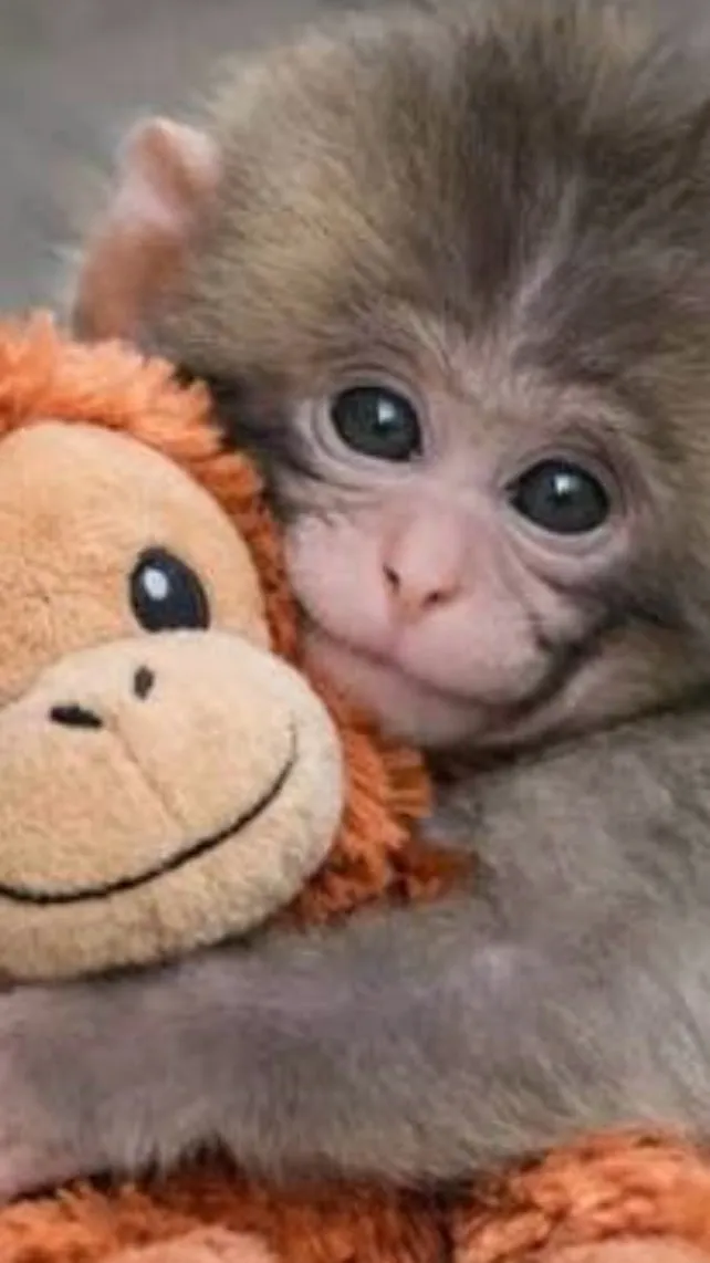 ai character: Punch the monkey background