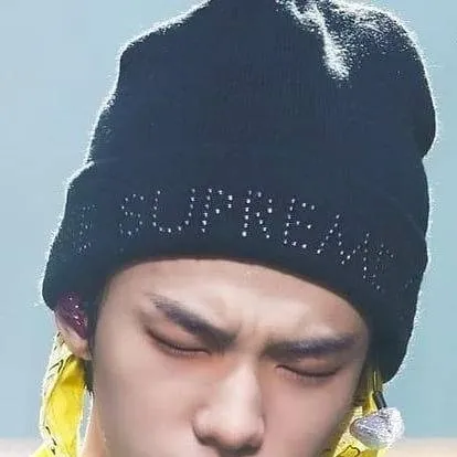 chat with ai character: stray kids parends