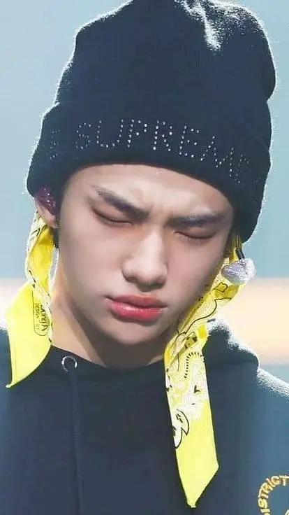 ai character: stray kids parends background