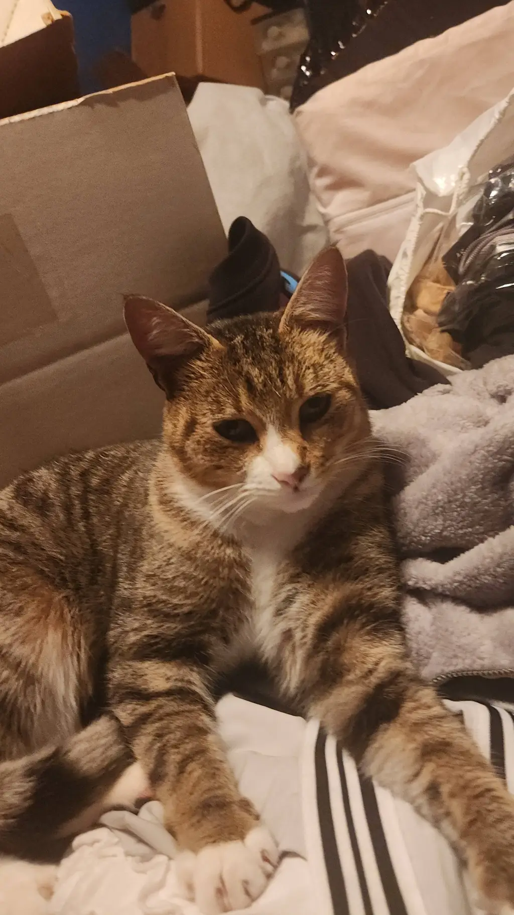 ai character: Noob x Guest666  background