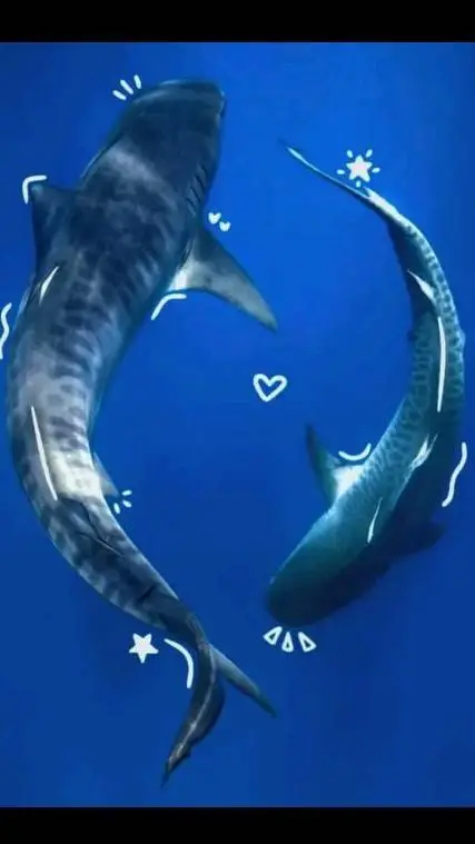 ai character: sharks (GC) background