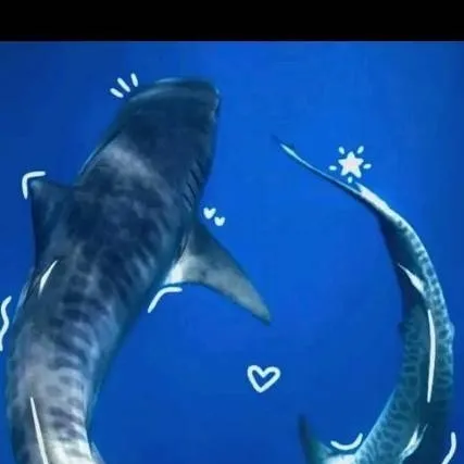 chat with ai character: sharks (GC)