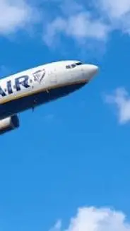 ai character: dumbair babeh background