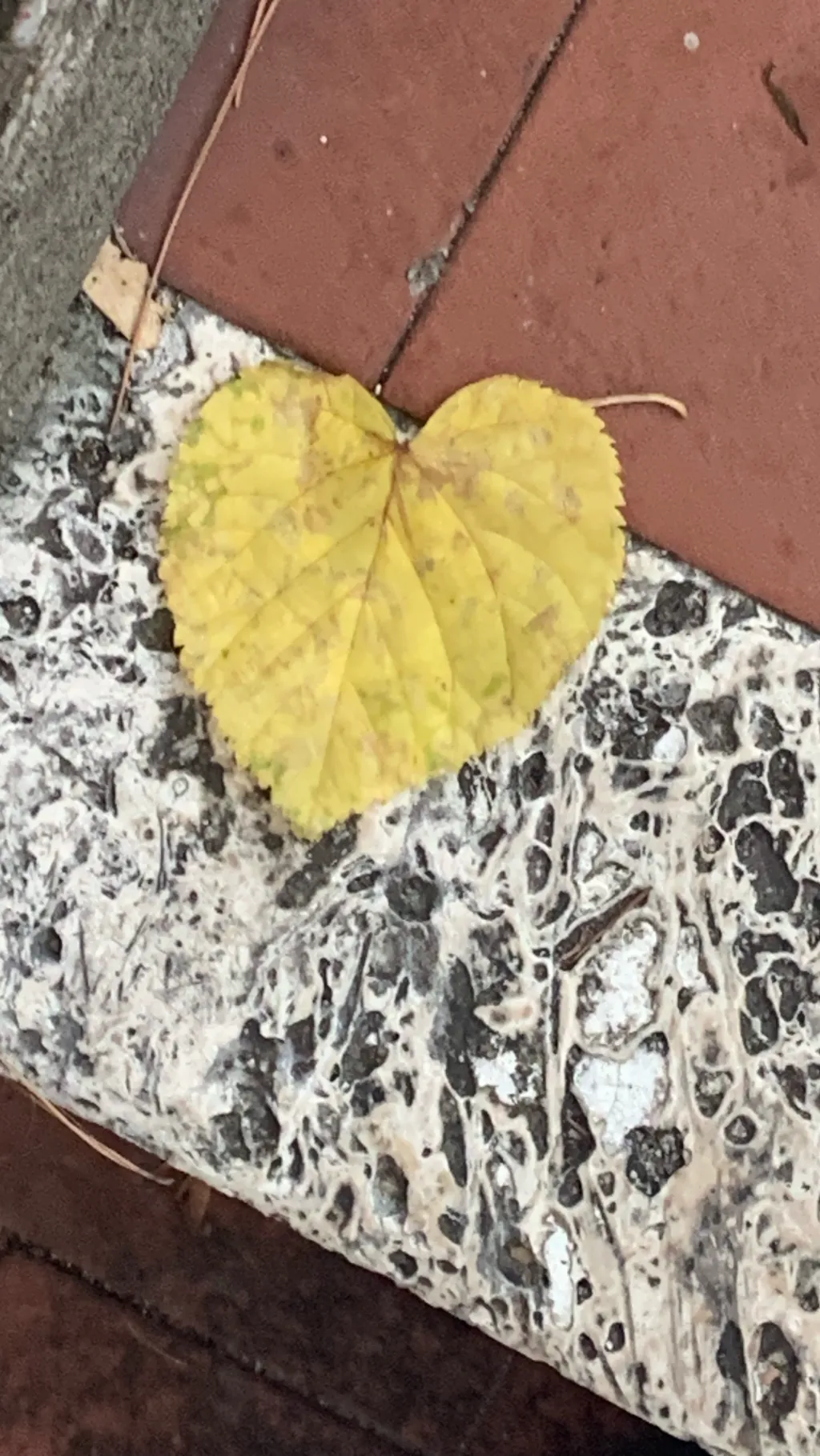 ai character: Fabio e Francesco  background