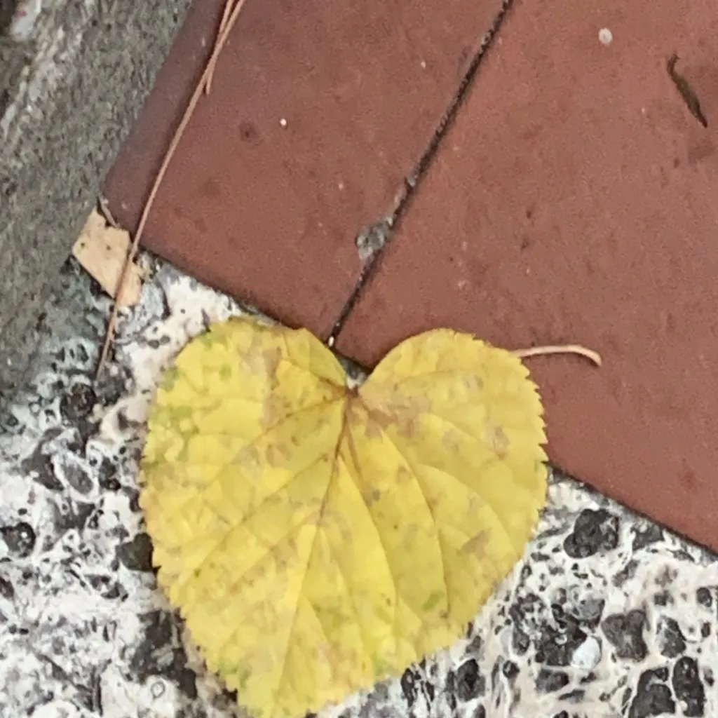 chat with ai character: Fabio e Francesco 