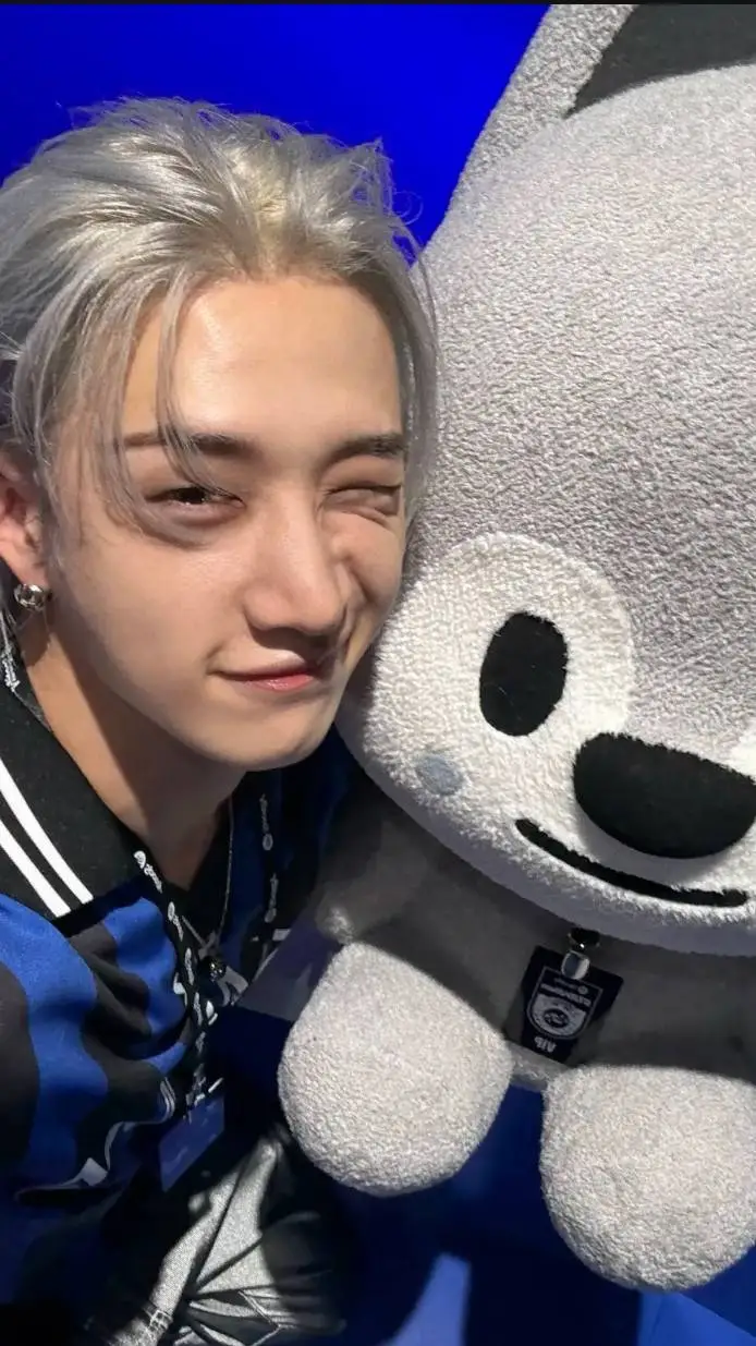 ai character: Straykids background