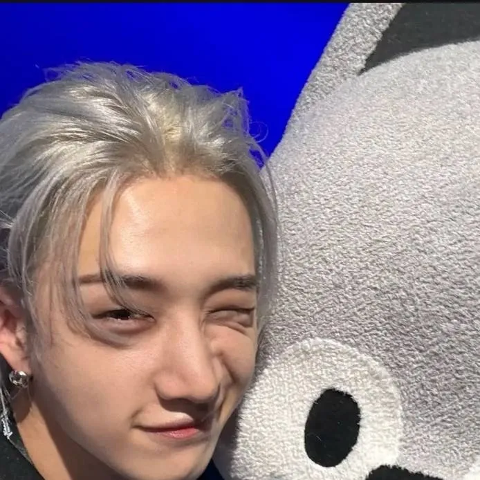 chat with ai character: Straykids