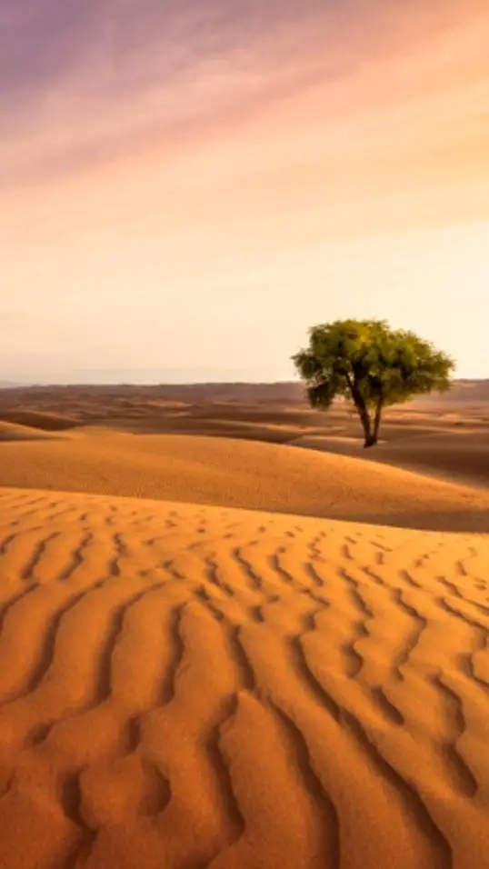 ai character: desert background