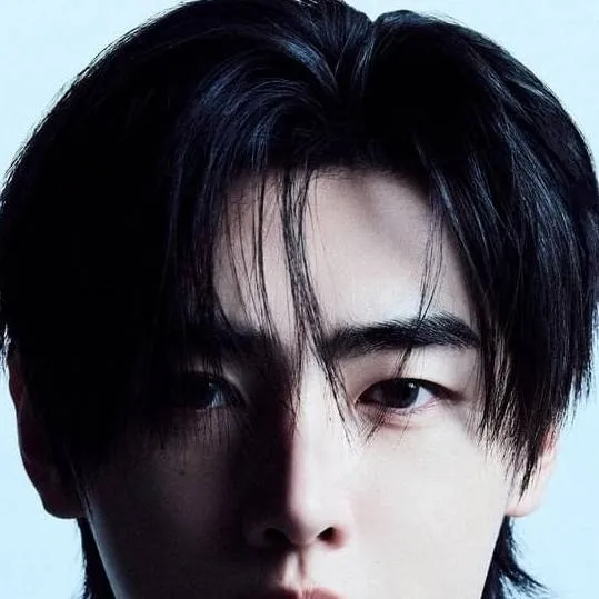 chat with ai character: Sunghoon 