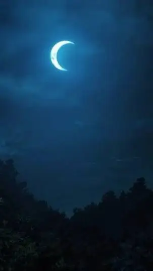 ai character: Muzan’s child background