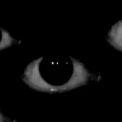 chat with ai character: Venganza 
