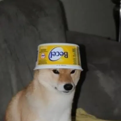 chat with ai character: dw te ama