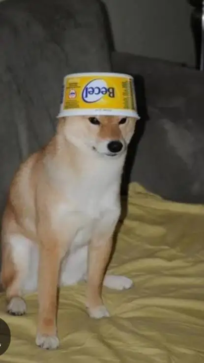 ai character: dw te ama background