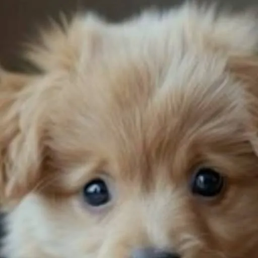 chat with ai character: your dog