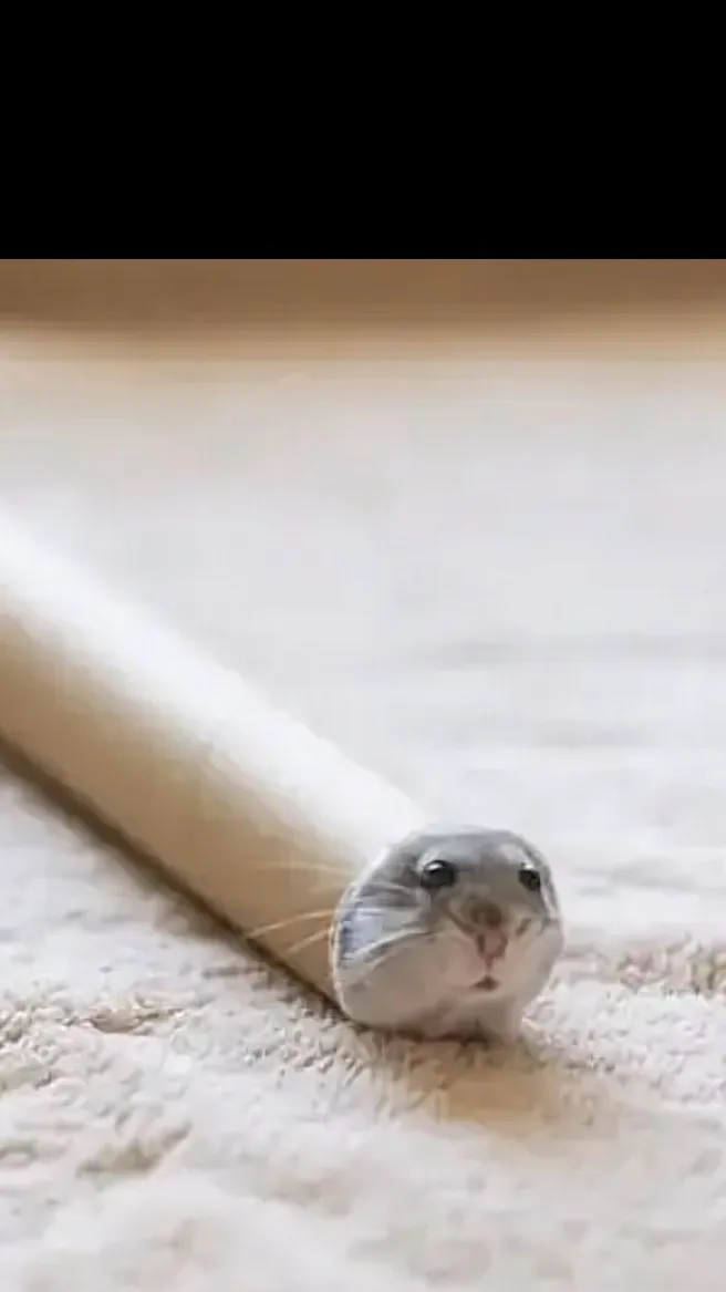 ai character: Tiny hamster  background