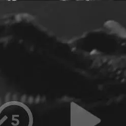 chat with ai character: 1955