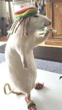 ai character: Antonio paz🫒🌿 background