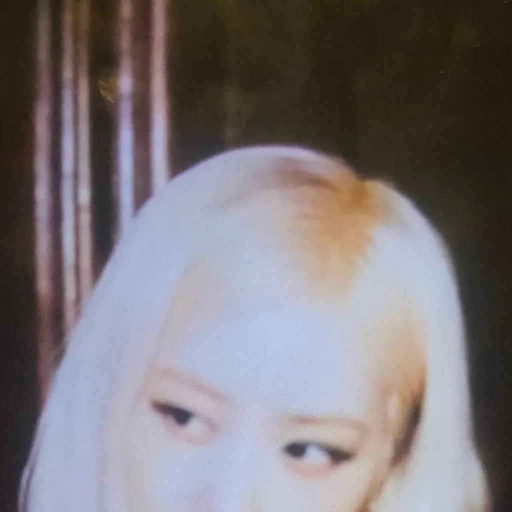 chat with ai character: rosé