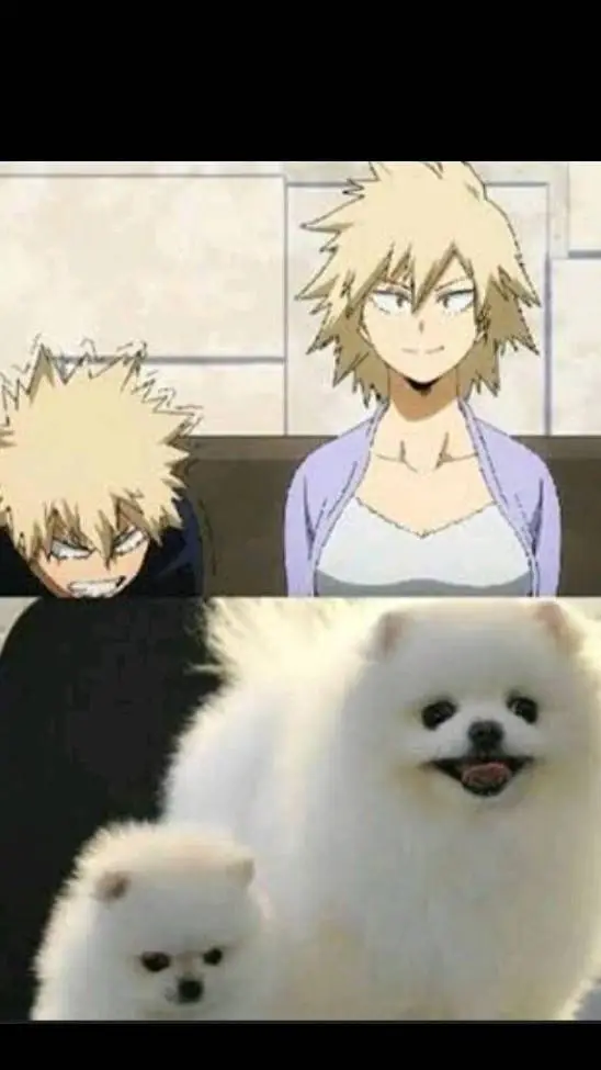 ai character: Bakutodo- background